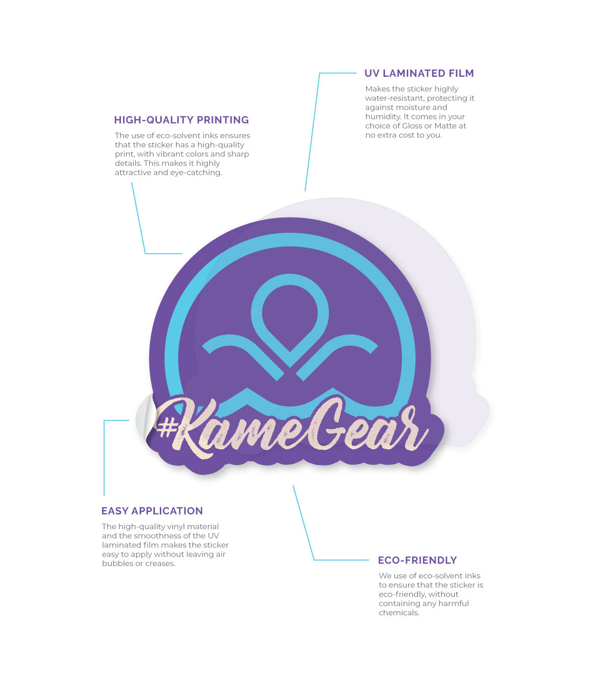 Custom Sticker Infographic