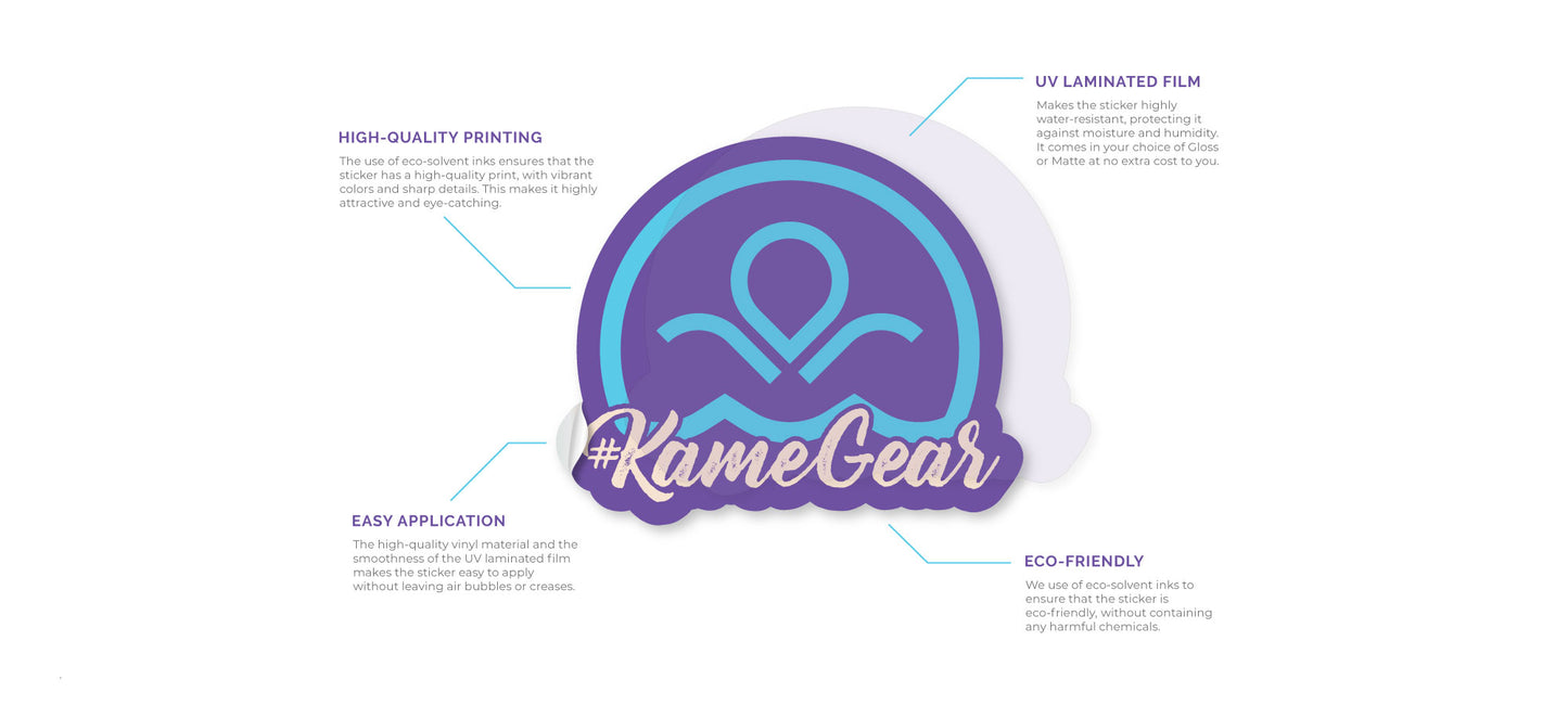 Custom Sticker Infographic